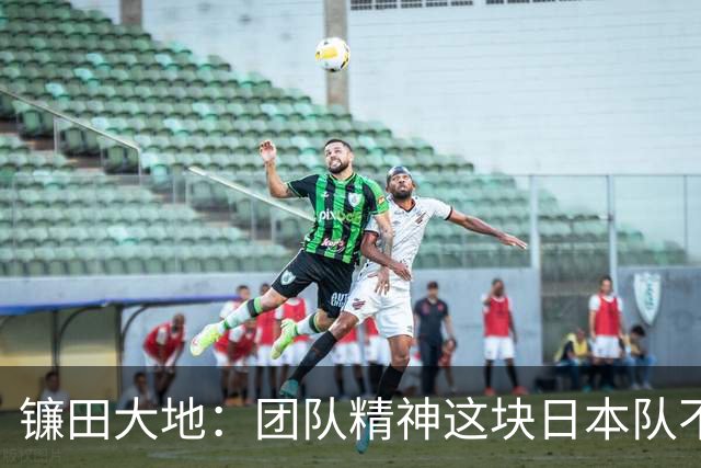 镰田大地：团队精神这块日本队不输任何对手，但个人实力差距明显